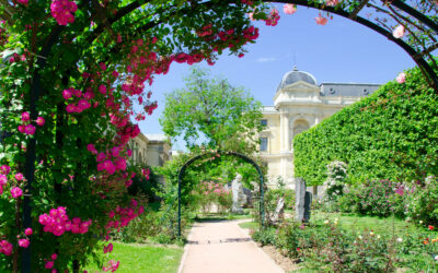 Hôtel Saint Christophe : votre Hôtel Jardin des Plantes pour un séjour nature et culture à Paris