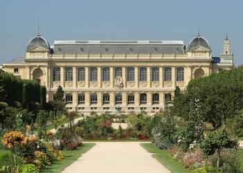 THE JARDIN DES PLANTES