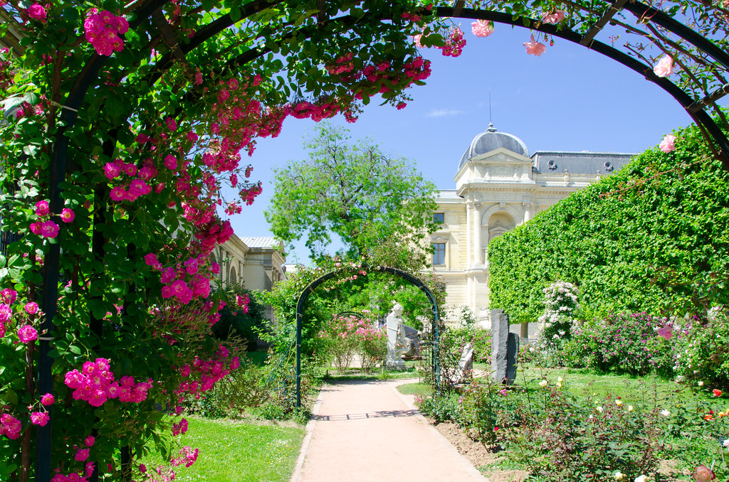 jardin