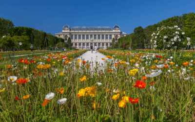 Ihr Hotel Jardin des Plantes – Das Hôtel Saint-Christophe in Paris
