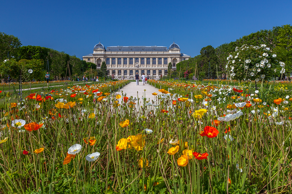 Jardin des plantes