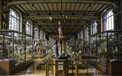 Hôtel Saint-Christophe: hotel vicino al Museo Nazionale di Storia Naturale di Parigi